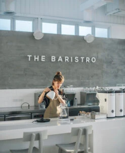 Brewista Artisan Electric Gooseneck Kettle - Pearl White -Coffee Machine Store IMG 2932newlogo