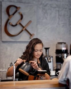 Brewista Artisan Electric Gooseneck Kettle - Matte Black -Coffee Machine Store IMG 3942 newlogo